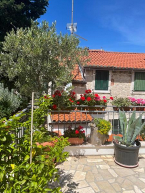 Luxury apartament Laz